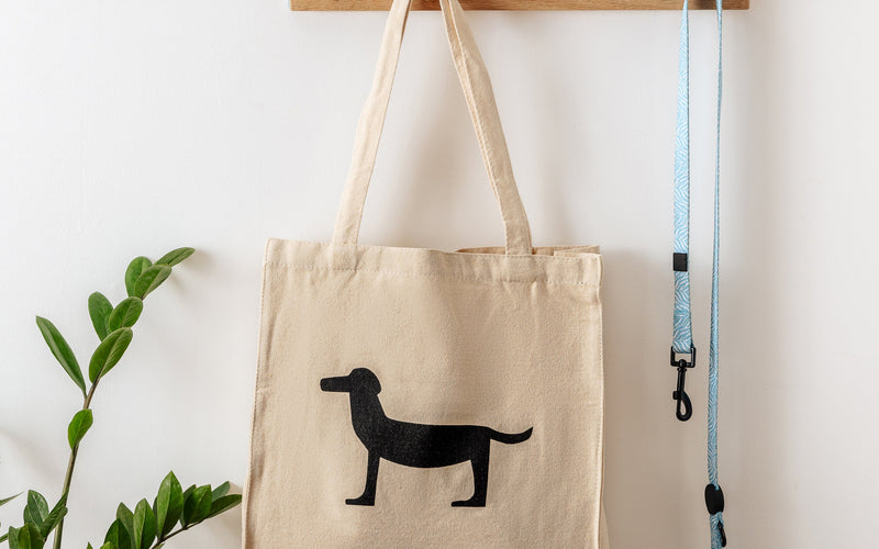 We Love Park Life Designs Tote Bags (And You Will Too!)