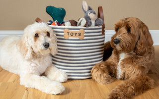Joyful Benefits of a Pet Toy Basket