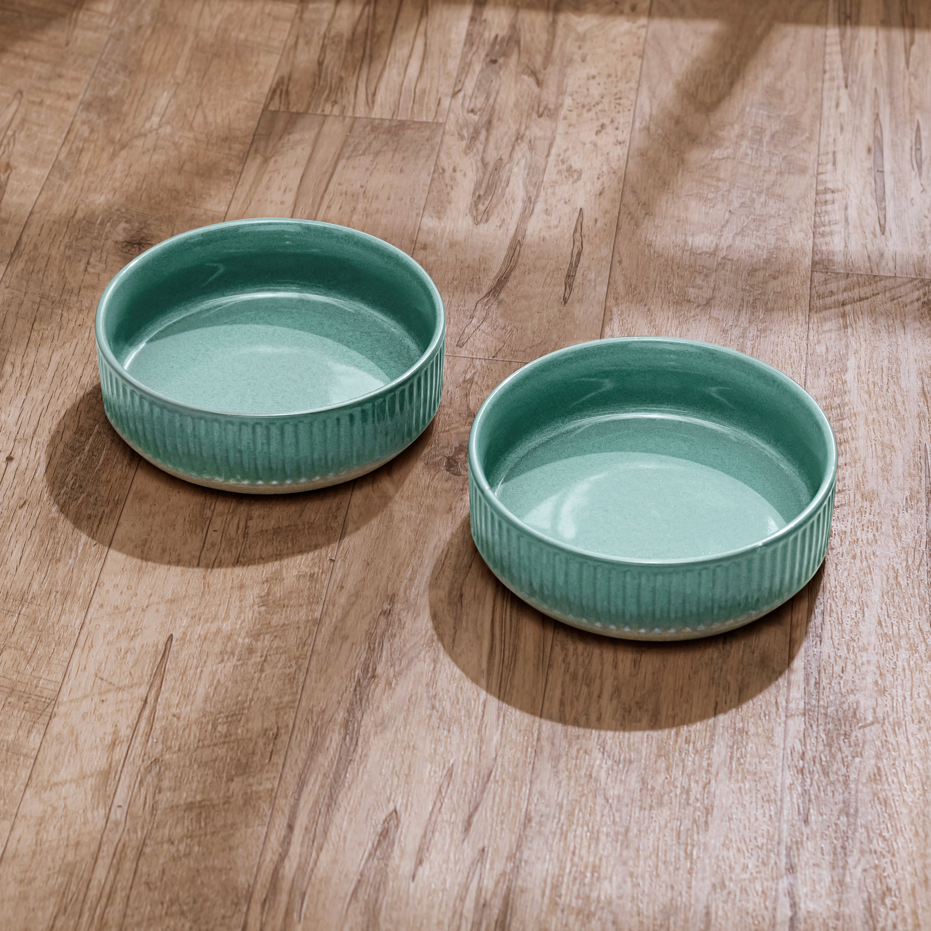 SET OF TWO SKANDI PET BOWL